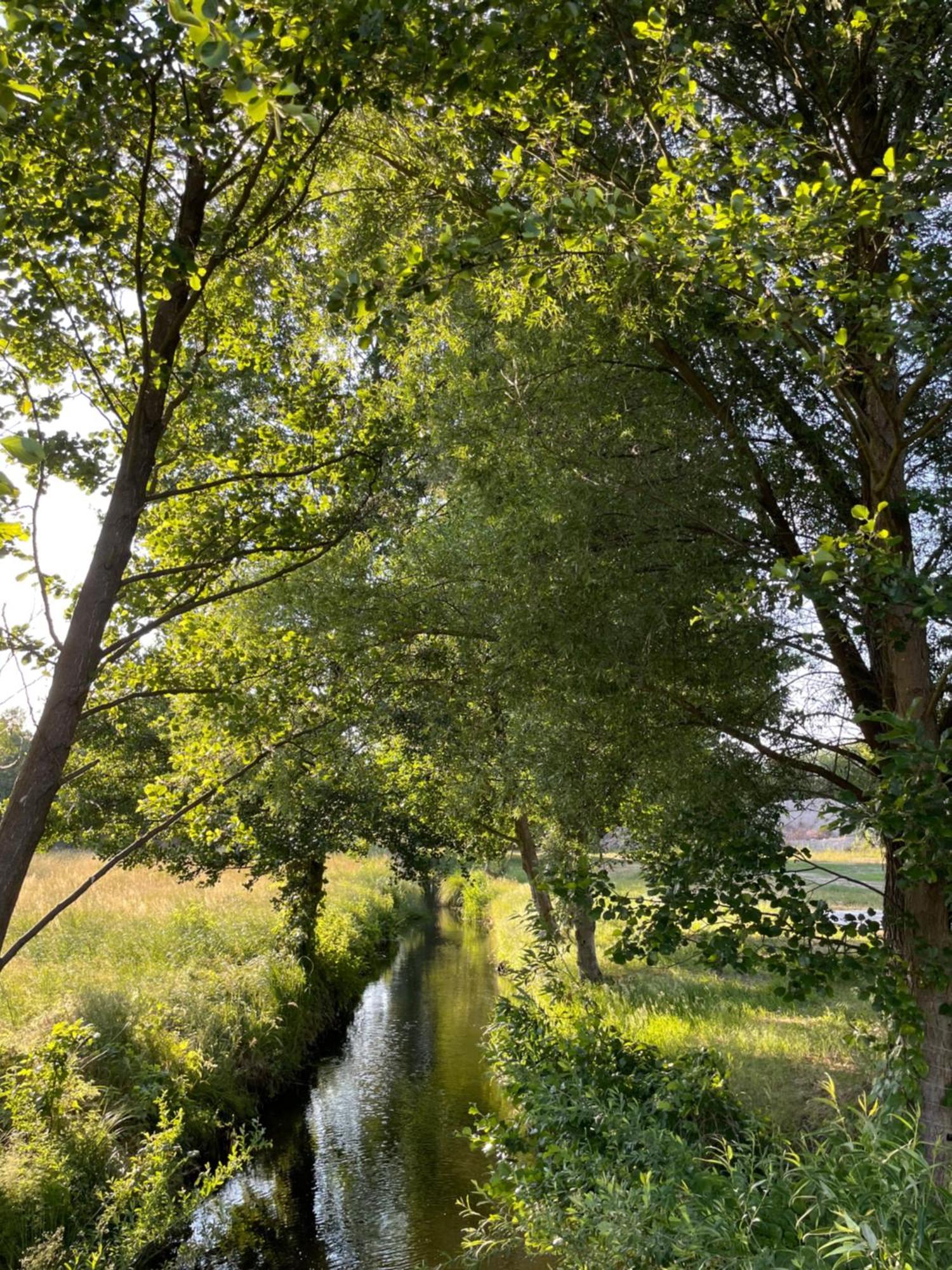 Burig Guesthouse With 3 Apartments, Just Outside Berlin, Near To Tesla מראה חיצוני תמונה